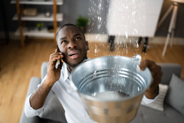 Best 24-hour water damage restoration  in Elizabeth, PA
