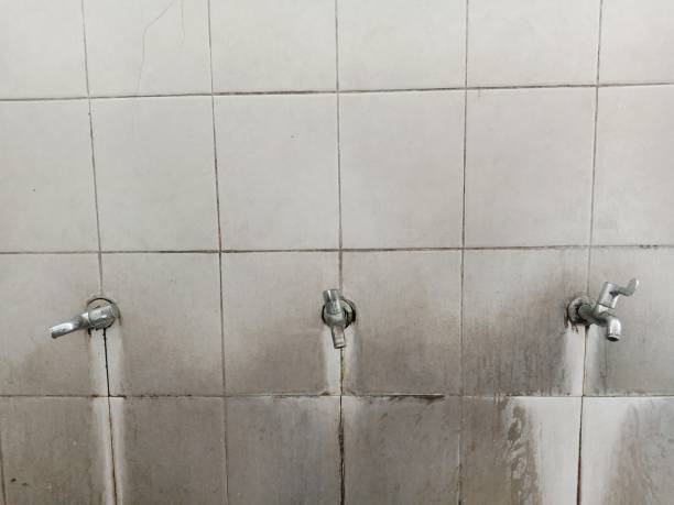 Best Flood restoration services  in Elizabeth, PA