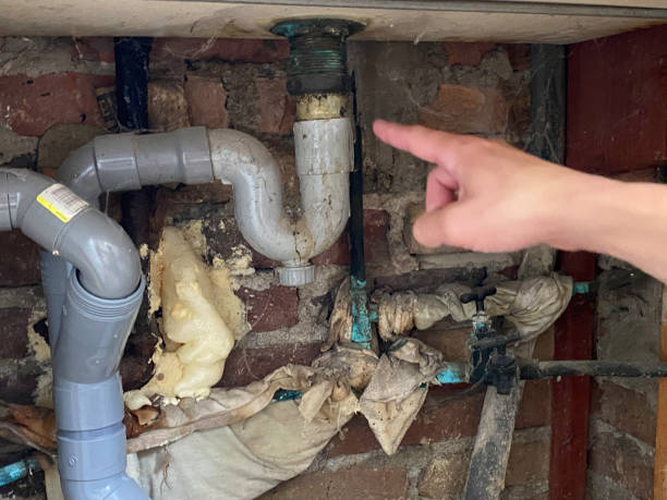 Best Fire Damage Restoration  in Elizabeth, PA