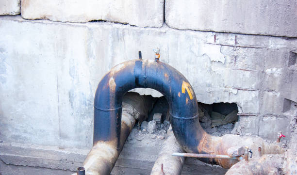 Best Carpet water damage restoration  in Elizabeth, PA