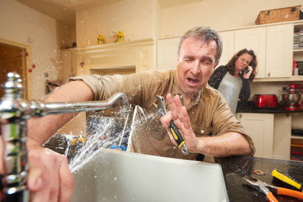 Best Water damage cleanup near me  in Elizabeth, PA
